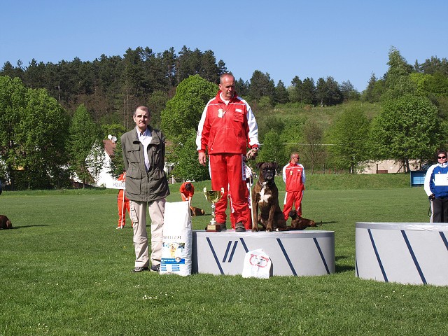 www.atibox.net * www.euroboxer.eu * www.boxergenealogia.eu
